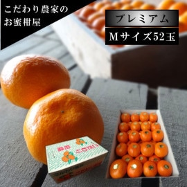 �ھ����ֹ棱�����۽���̣�����쥮��顼Ȣ���ͥ������������ץ�ߥ��ࡡ��������