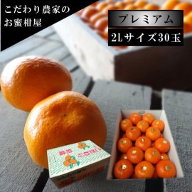 �ھ����ֹ棱�����۽���̣�����쥮��顼Ȣ�����̥������������ץ�ߥ��ࡡ��������