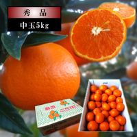 �ھ����ֹ棳������̪Ƿ˾���쥮��顼Ȣ����̥����������ʡ��󣵣����