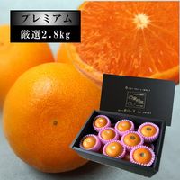 �ھ����ֹ棴�������ڽϤ��Ȥ������β���Ȣ����ˡ����������ޤ����������ץ�ߥ��ࡡ�󣲡��������