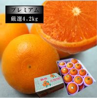 �ھ����ֹ棴�������ڽϤ��Ȥ����쥮��顼Ȣ�����������ޤ����������ץ�ߥ��ࡡ�󣴡��������