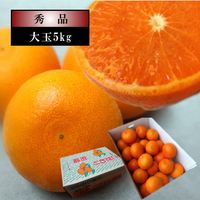 �ھ����ֹ棴�������ڽϤ��Ȥ����쥮��顼Ȣ����̥����������ʡ��󣵣����