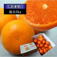 �ھ����ֹ棴�������ڽϤ��Ȥ����쥮��顼Ȣ�����������硡��ͥ�����ʡ��󣵣����