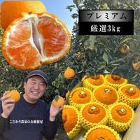 �ھ����ֹ棴�����۴Žϥǥ����쥮��顼Ȣ�ʰ��ʵͤ�ˡ����������ޤ����������ץ�ߥ��ࡡ�󣳣����