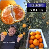 �ھ����ֹ棴�����۴Žϥǥ����쥮��顼Ȣ�����������硡��ͥ�����ʡ��󣴡��������