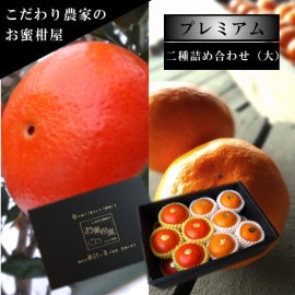 �ھ����ֹ棱�����ۤ�̪����ŹĹ�θ����ץ�ߥ��८�ե�-��-�����ͤ��碌�����β���Ȣ����� �����ץ�ߥ��ࡡ�󣲣������