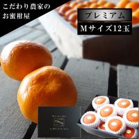 �ھ����ֹ棱�����۽���̣�������β���Ȣ����ˡ��ͥ������������ץ�ߥ��ࡡ��������