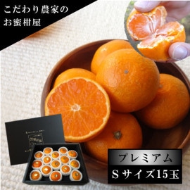 �ھ����ֹ棵�������д��������β���Ȣ���ӥ������������ץ�ߥ��ࡡ��������