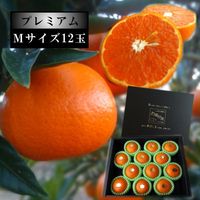 �ھ����ֹ棳������̪Ƿ˾�����β���Ȣ����ˡ��ͥ������������ץ�ߥ��ࡡ��������