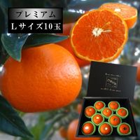 �ھ����ֹ棳������̪Ƿ˾�����β���Ȣ���̥������������ץ�ߥ��ࡡ��������