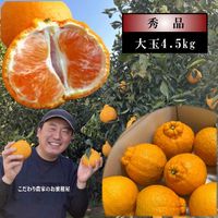 �ھ����ֹ棴�����۴Žϥǥ����쥮��顼Ȣ����̥����������ʡ��󣴡��������