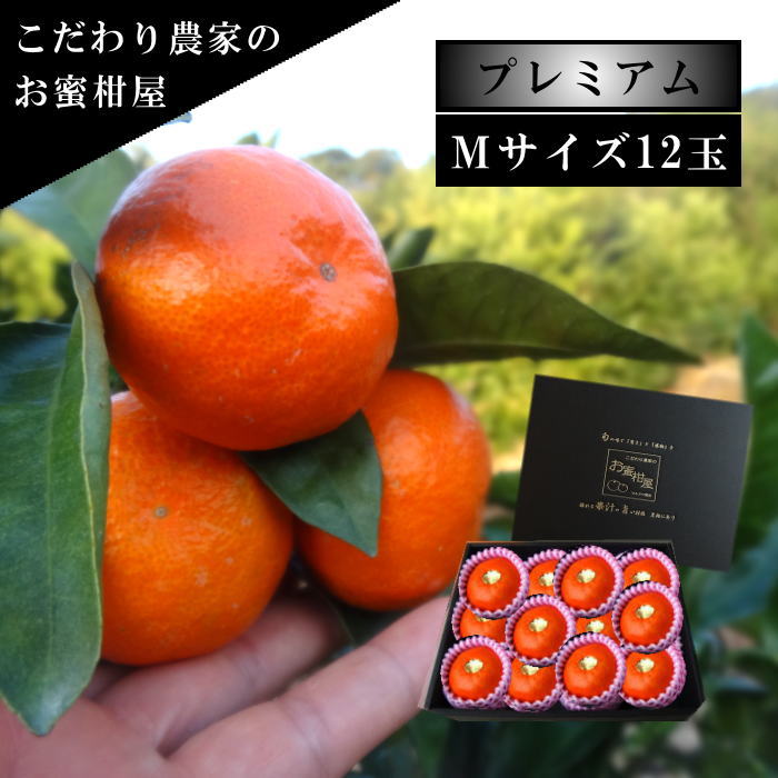 商品番号702】夕焼け姫 黒の化粧箱（中） Mサイズ 厳選プレミアム