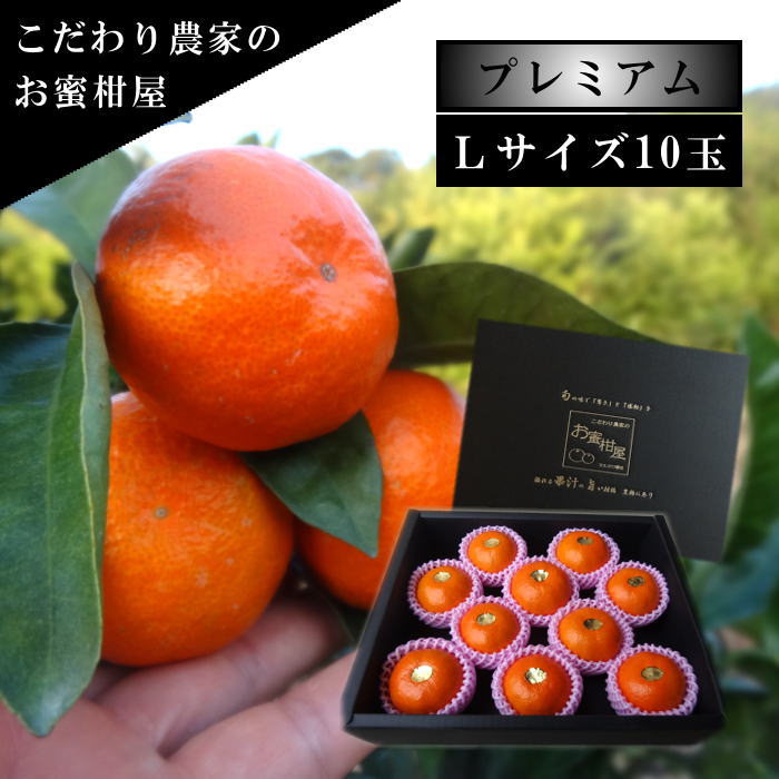 �ھ����ֹ棷������ͼ�Ƥ�ɱ�����β���Ȣ���̥������������ץ�ߥ��ࡡ��������