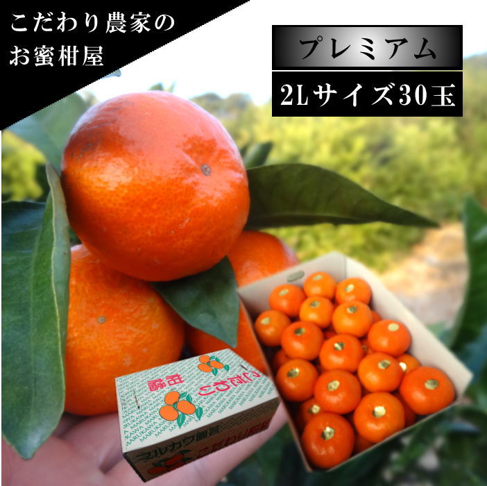 �ھ����ֹ棷������ͼ�Ƥ�ɱ���쥮��顼Ȣ�����̥������������ץ�ߥ��ࡡ��������