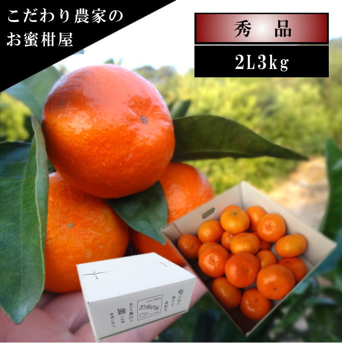 �ھ����ֹ棷������ͼ�Ƥ�ɱ����Υ��ե�Ȣ�����̥����������ʡ��󣳣����