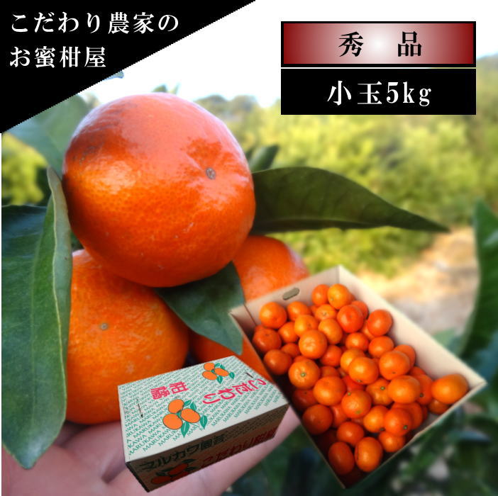 ھֹ棷ͼƤɱ쥮顼Ȣ̥ʡ󣵣