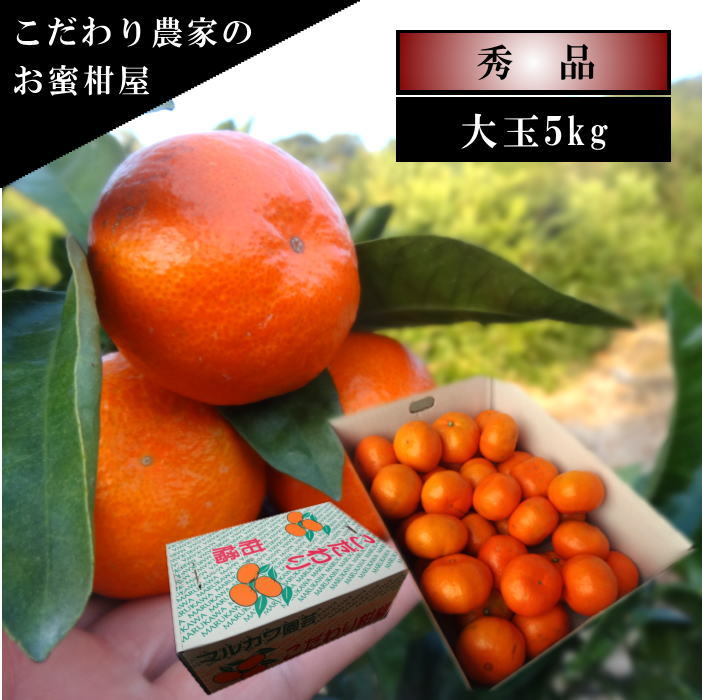 �ھ����ֹ棷������ͼ�Ƥ�ɱ���쥮��顼Ȣ����̥����������ʡ��󣵣����