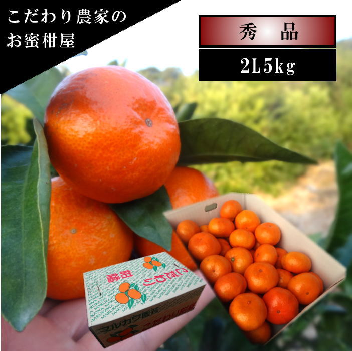 �ھ����ֹ棷������ͼ�Ƥ�ɱ���쥮��顼Ȣ�����̥����������ʡ��󣵣����