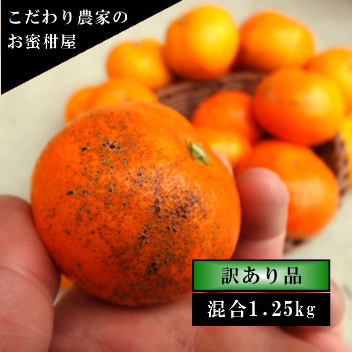 �ھ����ֹ棷������ͼ�Ƥ�ɱ�����������硡�������ʡ��󣱡����������