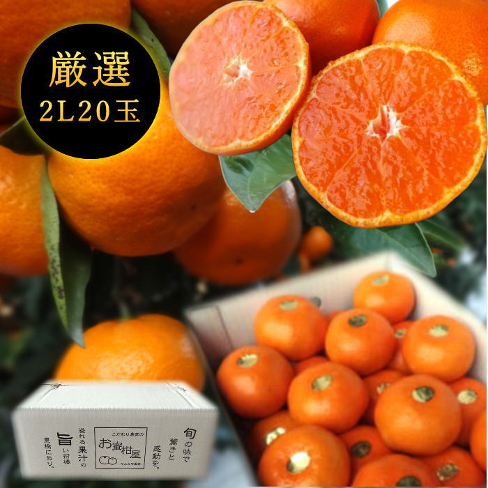 ھֹ棱ۡڥݥ5ܡ̪ĴݡΥեȢ̥ץߥࡡ