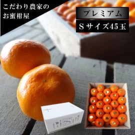 �ھ����ֹ棱�����۽���̣������Υ��ե�Ȣ���ӥ������������ץ�ߥ��ࡡ��������