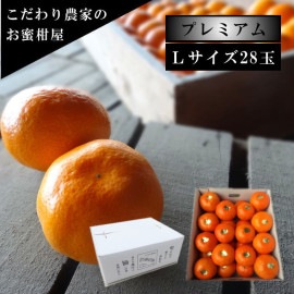 �ھ����ֹ棱�����۽���̣������Υ��ե�Ȣ���̥������������ץ�ߥ��ࡡ��������