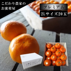 �ھ����ֹ棱�����۽���̣������Υ��ե�Ȣ�����̥������������ץ�ߥ��ࡡ��������