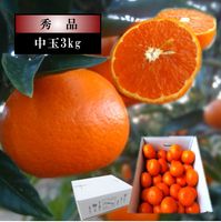 �ھ����ֹ棳������̪Ƿ˾����Υ��ե�Ȣ����̥����������ʡ��󣳣����