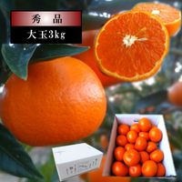 �ھ����ֹ棳������̪Ƿ˾����Υ��ե�Ȣ����̥����������ʡ��󣳣����