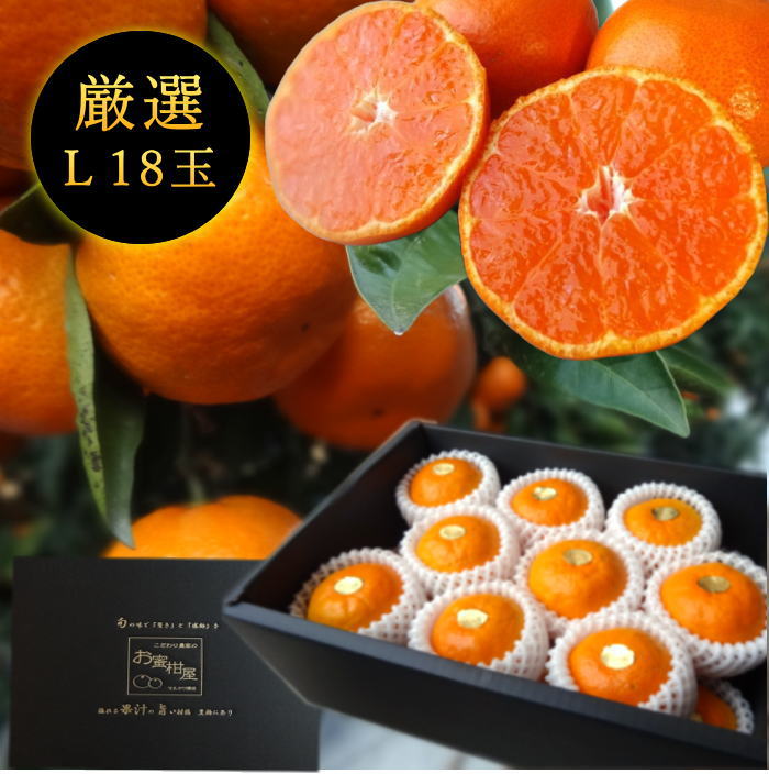 11月中旬～】蜜ツ丸（マルチ完熟早生みかん） | こだわり農家の