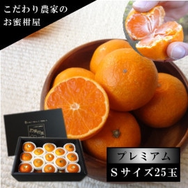 �ھ����ֹ棵�������д��������β���Ȣ����� �ӥ������������ץ�ߥ��ࡡ��������