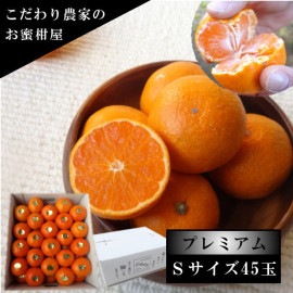 �ھ����ֹ棵�������д�������Υ��ե�Ȣ���ӥ������������ץ�ߥ��ࡡ������