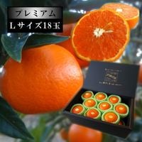 �ھ����ֹ棳������̪Ƿ˾�����β���Ȣ����ˡ��̥������������ץ�ߥ��ࡡ��������