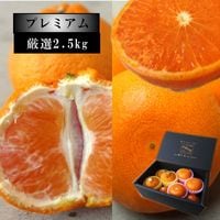 �ھ����ֹ棴�������ڽϤ��Ȥ��ȴŽϥǥ��εͤ��碌�����β���Ȣ����ˡ������ץ�ߥ��ࡡ�󣲡��������