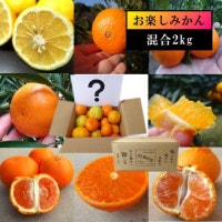 �ھ����ֹ棹�����ۤ�����ꤪ�ߤ���̼�Ȣ-���ڤ��ߤ���-����Ȣ������ʡ��󣲣����