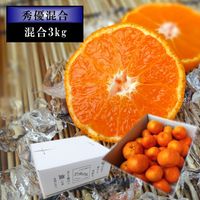 �ھ����ֹ棲����̪��������Υ��ե�Ȣ�����������硡��ͥ�����ʡ��󣳣����