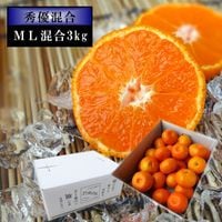 �ھ����ֹ棲����̪��������Υ��ե�Ȣ���̥ͣ���������ͥ�����ʡ��󣳣����