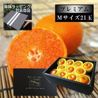 ھֹ棵̪ץߥࡡβȢˡ̼ͥ£