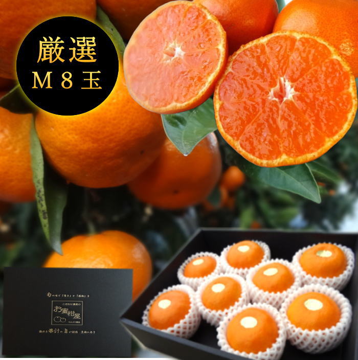 ھֹ棱̪ĴݡβȢʾˡͥץߥࡡ