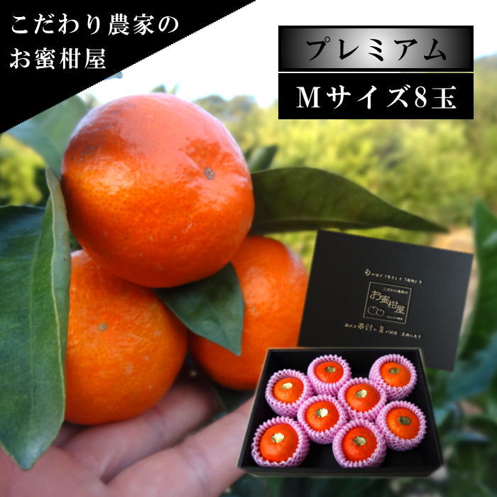 �ھ����ֹ棷������ͼ�Ƥ�ɱ�����β���Ȣ�ʾ��ˡ��ͥ������������ץ�ߥ��ࡡ������