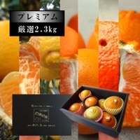 ھֹ棲۽ܤΤ괻̵ͤ碌͵ʼβȢˡ󣲡
