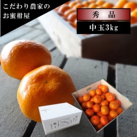 �ھ����ֹ棱�����۽���̣������Υ��ե�Ȣ����̥����������ʡ��󣳣����