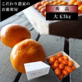 �ھ����ֹ棱�����۽���̣������Υ��ե�Ȣ����̥����������ʡ��󣳣����