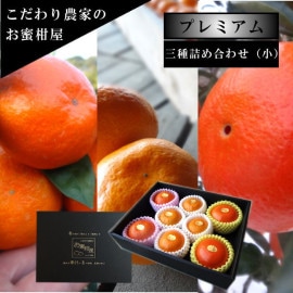 �ھ����ֹ棱�����ۤ�̪����ŹĹ�θ����ץ�ߥ��८�ե�-��-������ͤ��碌�����β���Ȣ�ʾ��� �����ץ�ߥ��ࡡ��800g