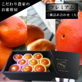 時季/店長おすすめ】厳選プレミアムギフト | こだわり農家のお蜜柑屋本店