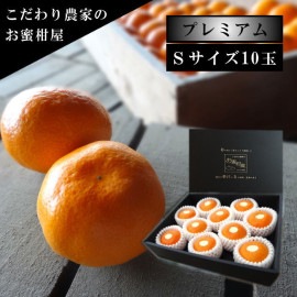 �ھ����ֹ棱�����۽���̣�������β���Ȣ�ʾ��� �ӥ������������ץ�ߥ��ࡡ��������