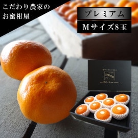 �ھ����ֹ棱�����۽���̣�������β���Ȣ�ʾ��� M�������������ץ�ߥ��ࡡ������