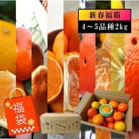 �ھ����ֹ棲�������ۡڿ�ǯ�α��/������������ۤ������Τ��ߤ���ʡ��2026-IRODORI-����Ȣ�����������硡�������ѡ��󣲣����