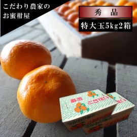 �ھ����ֹ棱�����۽���̣�����쥮��顼Ȣ������̥����������ʡ��󣵣��������Ȣ