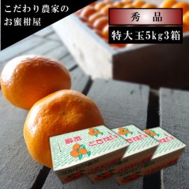 �ھ����ֹ棱�����۽���̣�����쥮��顼Ȣ������̥����������ʡ��󣵣��������Ȣ